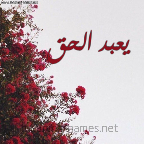 شكل 18 صوره الورد الأحمر للإسم بخط رقعة صورة اسم يعبد الحق Abdul-Haq
